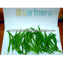 Fresh Green Beans